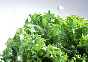 大阪で広く支持されるホストクラブ